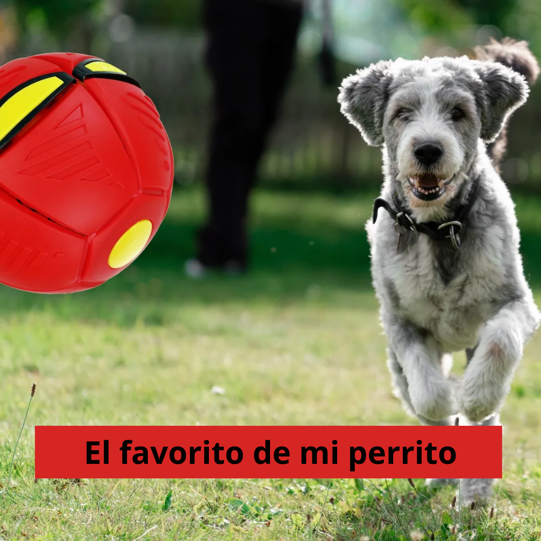 Pelota Mágica - Promoción 2x1