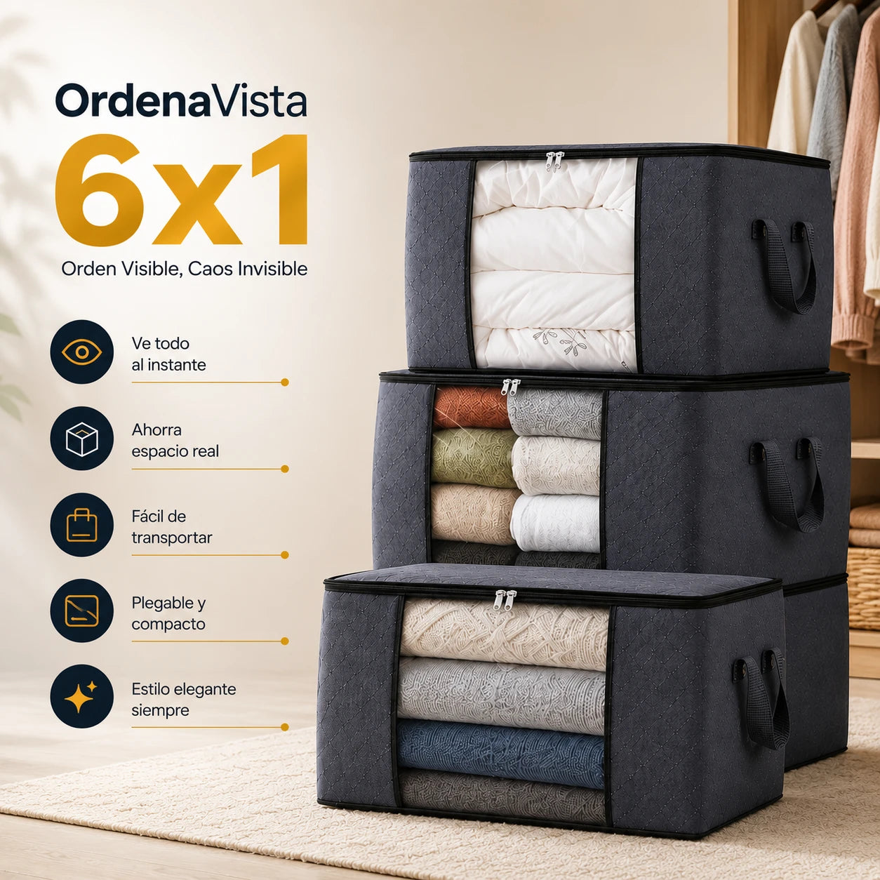 OrdenaVista 6x1 - Orden Visible, Caos Invisible