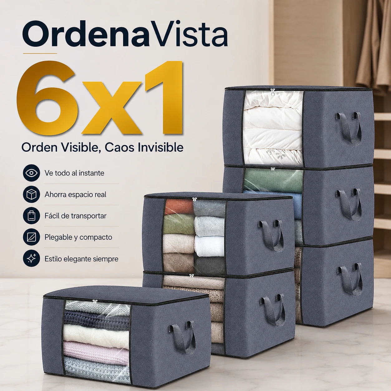 OrdenaVista 6x1 - Orden Visible, Caos Invisible