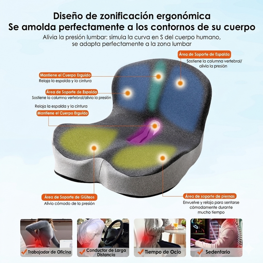 ErgoZen — Cojín ortopédico que alivia el dolor de espalda al instante