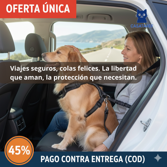 Cinturón de Seguridad para Mascotas – Control en el Auto – Viajes Seguros desde el Primer Uso