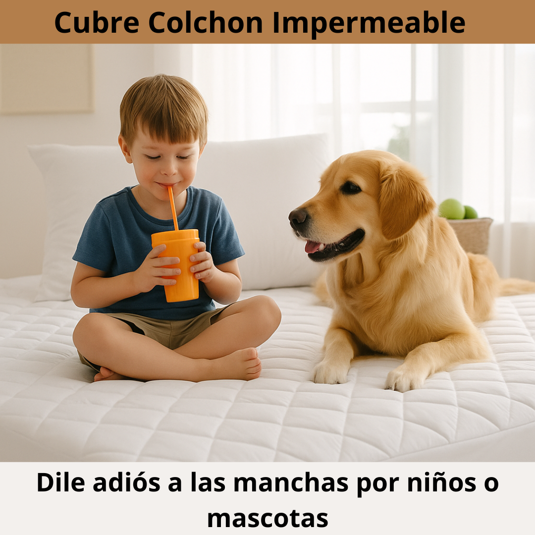 Cubre colchón impermeable + FUNDAS DE REGALO – Bloquea líquidos y manchas –